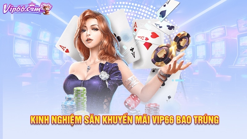 Kinh nghiệm săn khuyến mãi Vip66 bao trúng